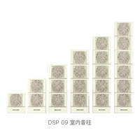 DSPPA(ʿ)ҕ a(chn)Ʒ:DSP09ϵ